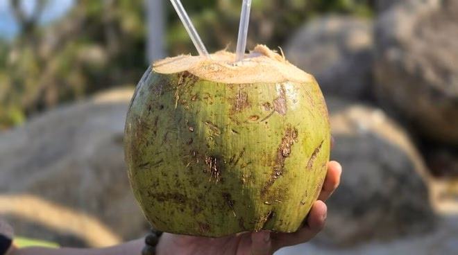 Sử dụng nước dừa đúng liều lượng và thời điểm sẽ mang lại hiệu quả tích cực cho người bị bệnh lý dạ dày. Ảnh: Tuấn Đạt